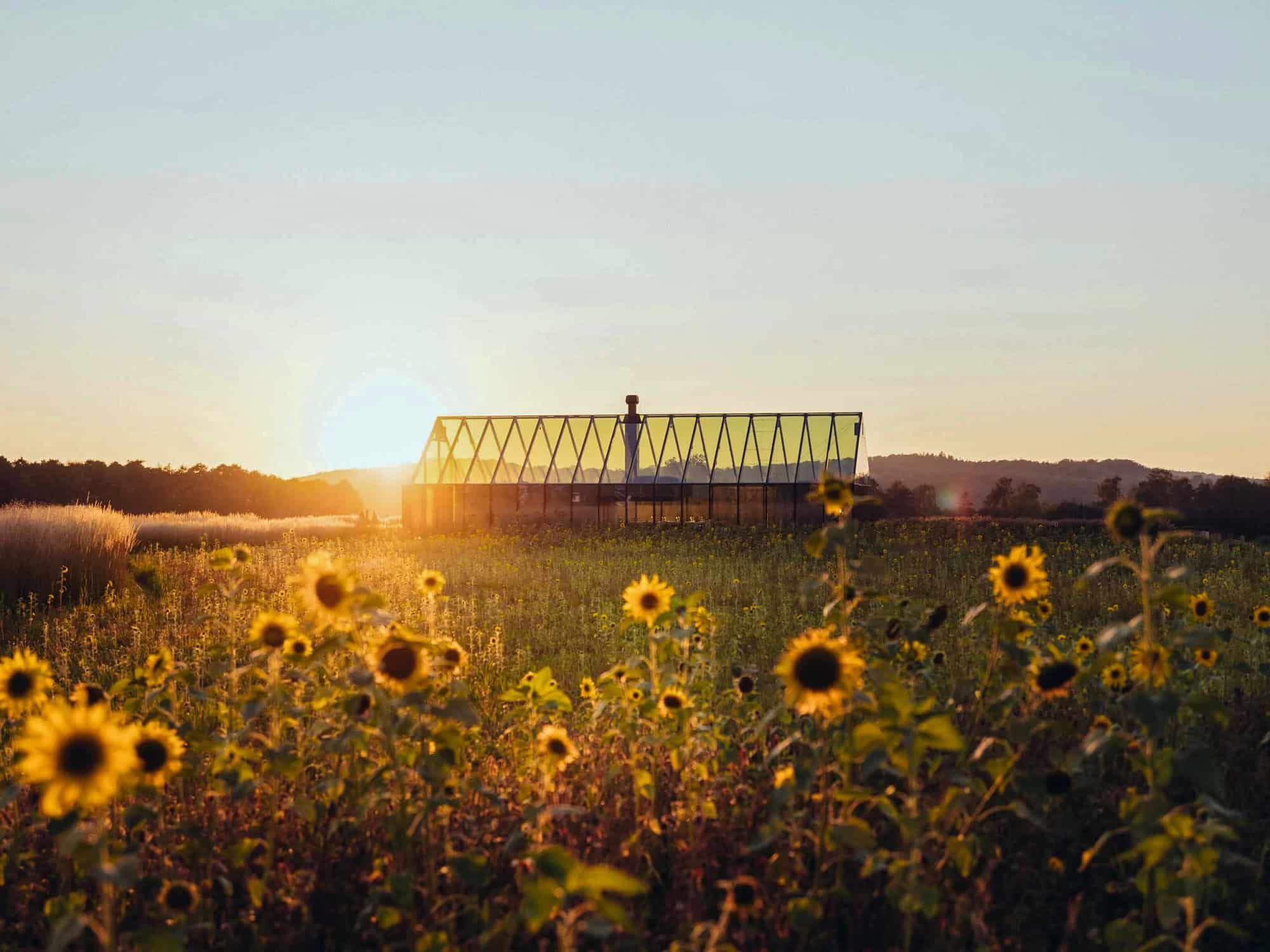 Димососи та фільтри